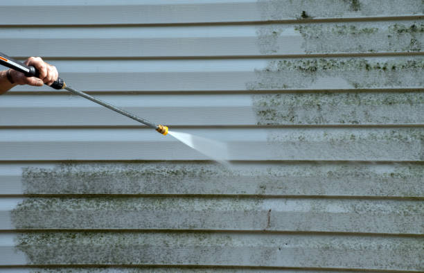 Best Fence Pressure Washing  in Peshtigo, WI