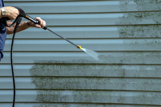 Best Roof Power Washing Services  in Peshtigo, WI